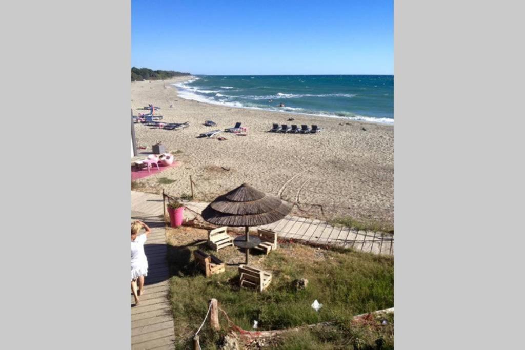 Marine De Bravone T2 Terrasse Front De Mer - Plage Pieds Dans L'Eau - Clim - Piscine - Wifi Linguizzetta Exterior photo